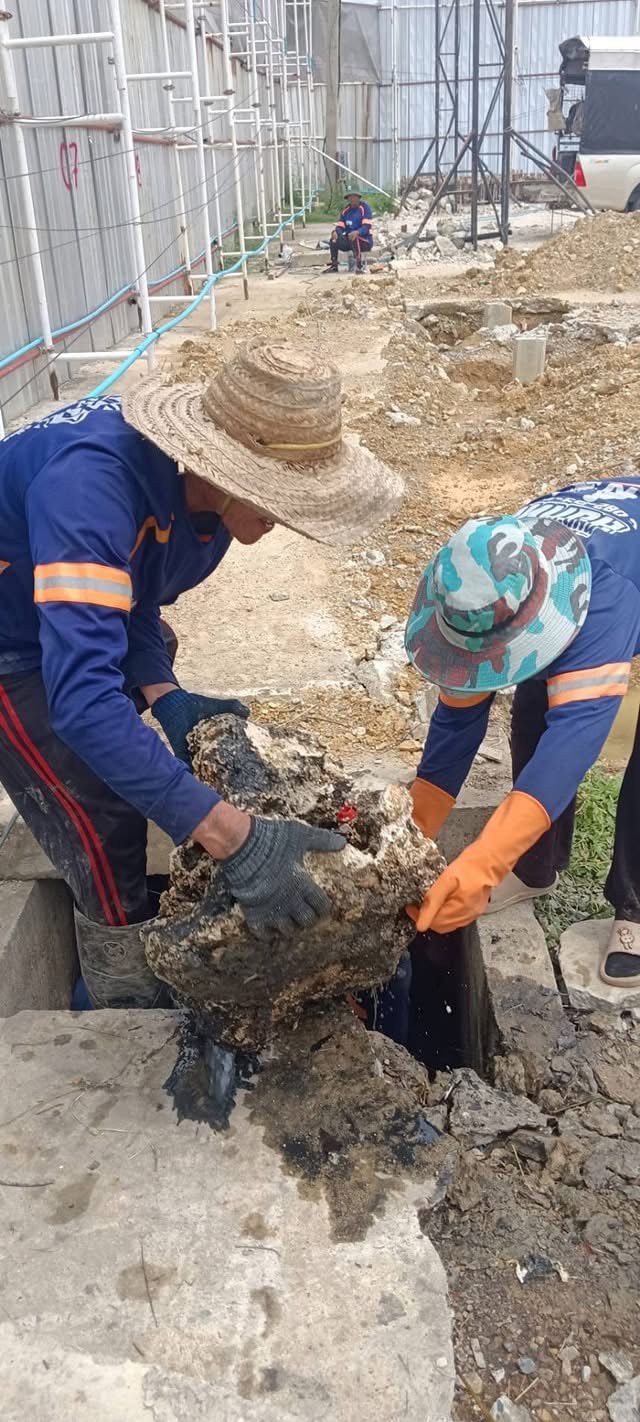 การลอกท่อในโรงงาน